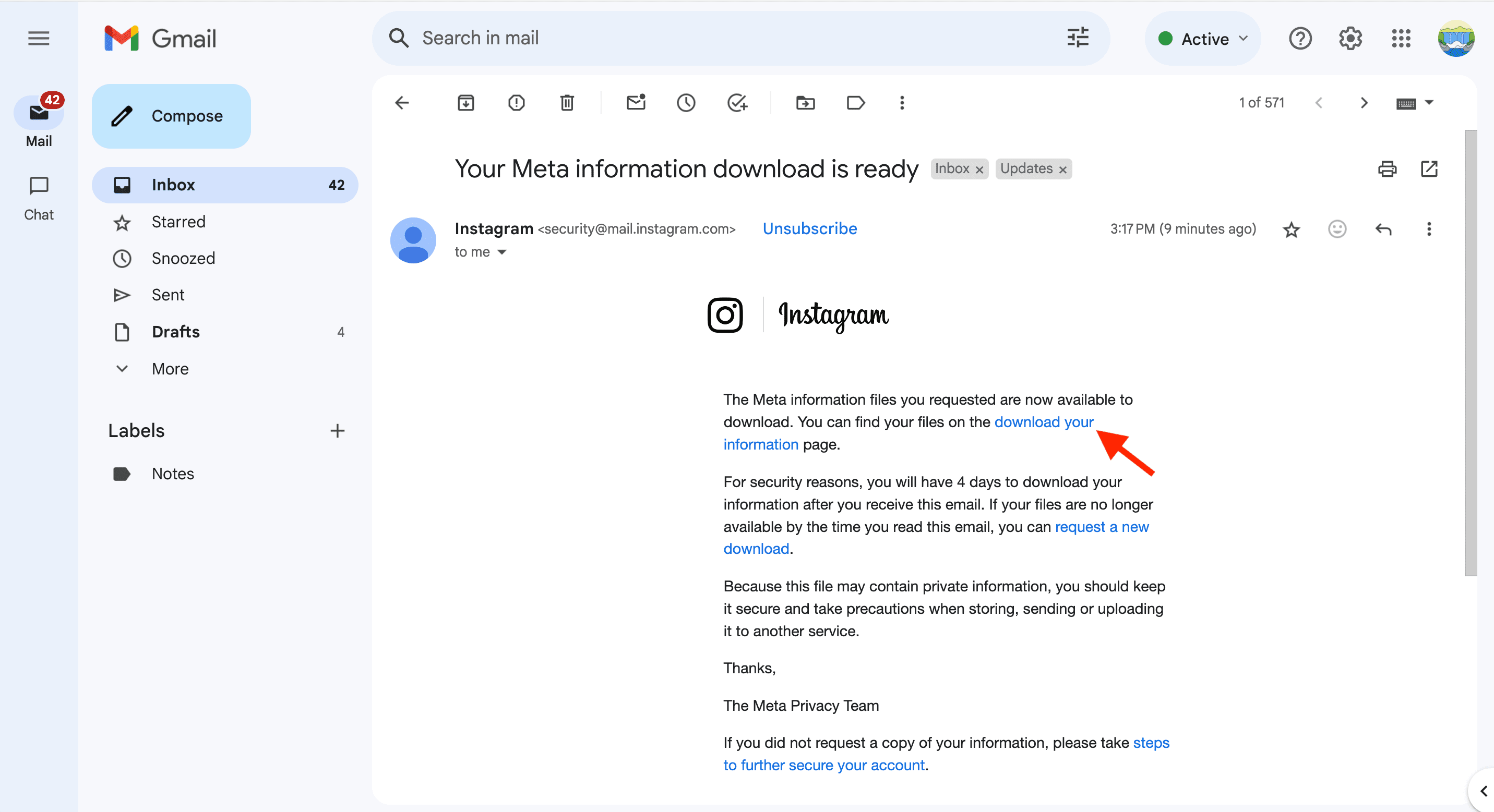 Email saying Your Meta information download is ready