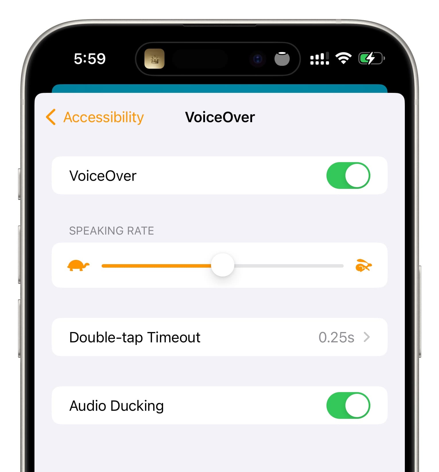 HomePod VoiceOver settings in iOS Home app