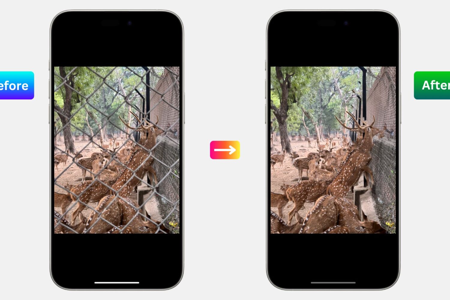 Remove unwanted objects from photos on iPhone