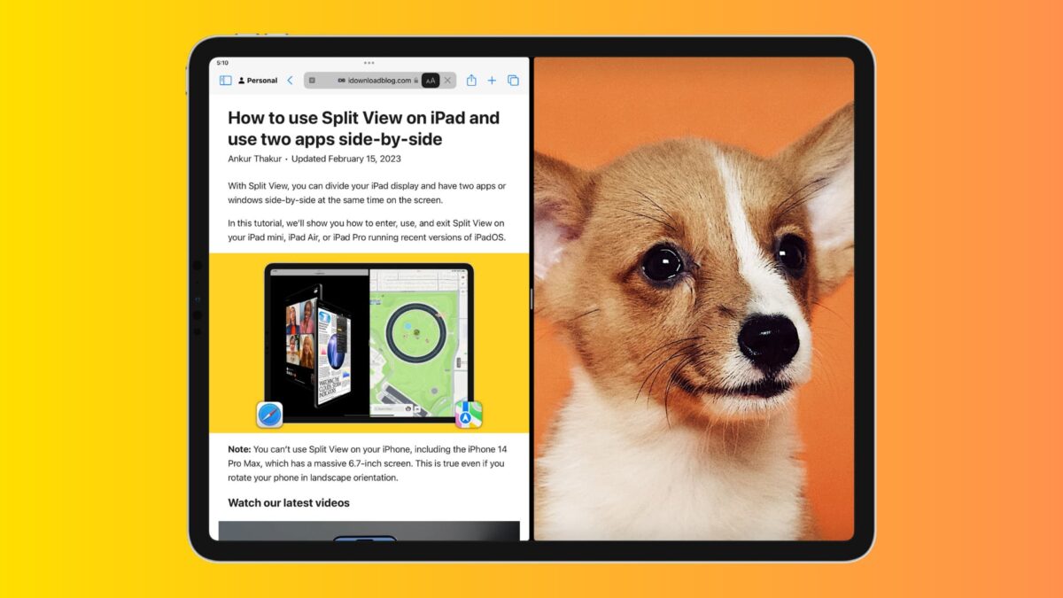 How to disable Split View and Slide Over on iPad