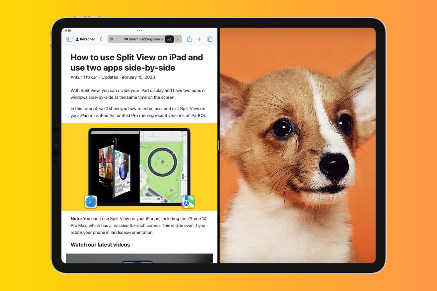 Safari and Photos in Split View on iPad