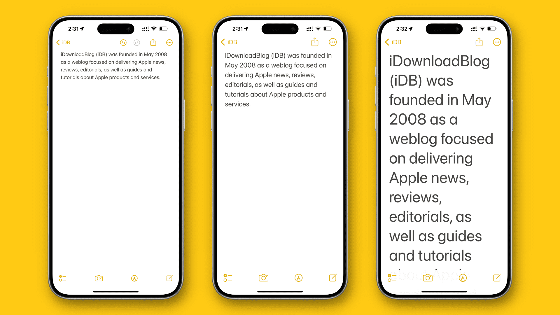 iPhone Notes app showing text in three different sizes