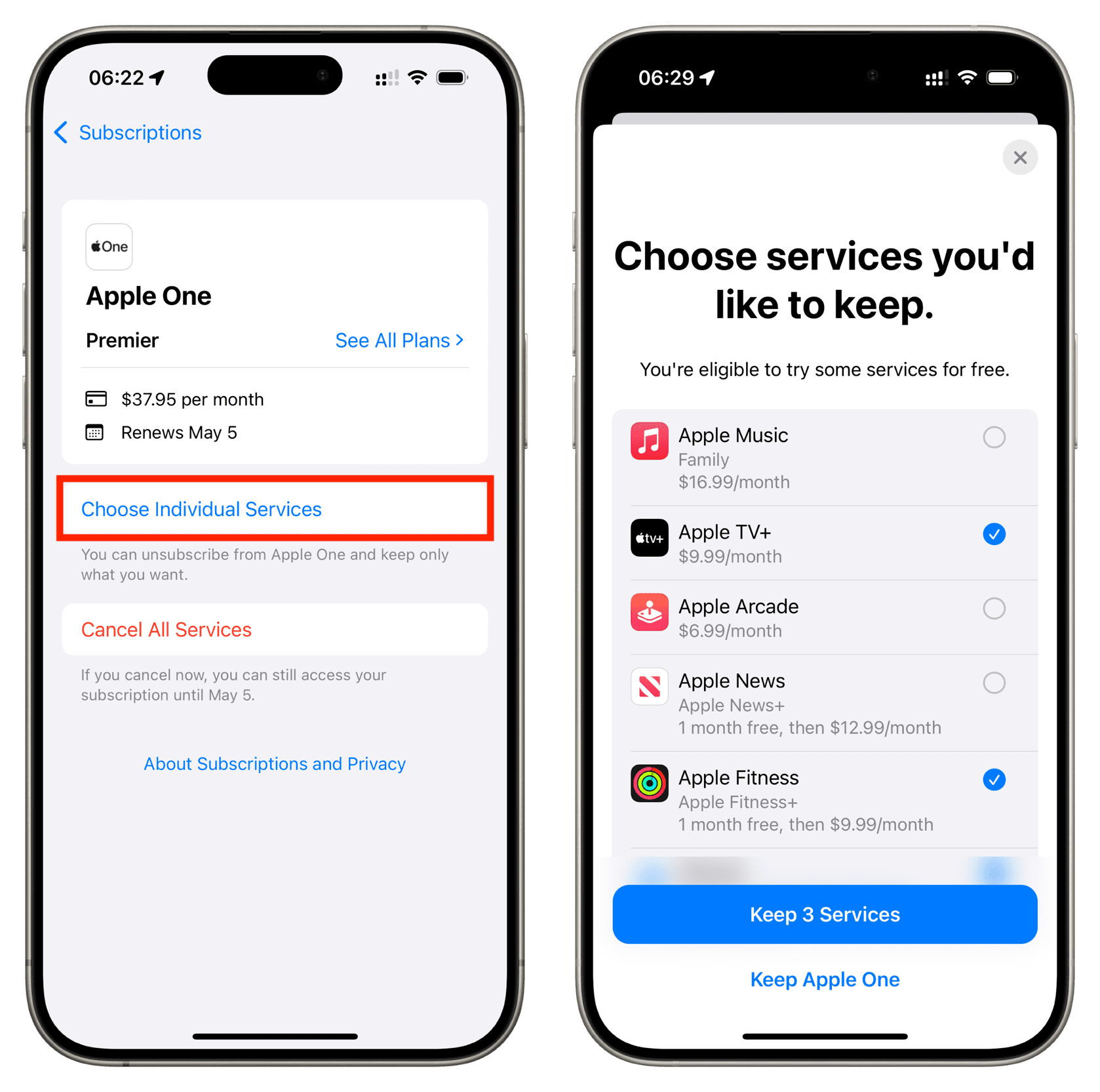 Choose Individual Services in Apple One