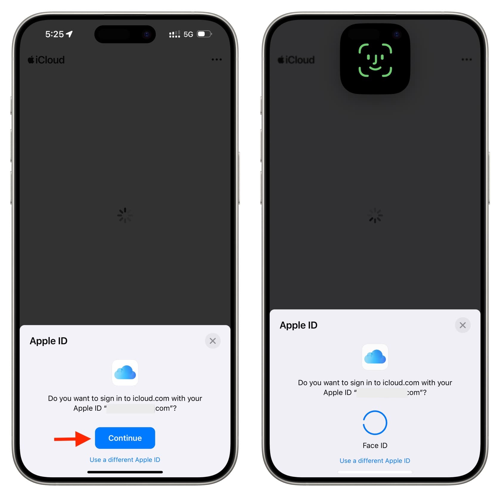 Continue and log in to iCloud web using Face ID