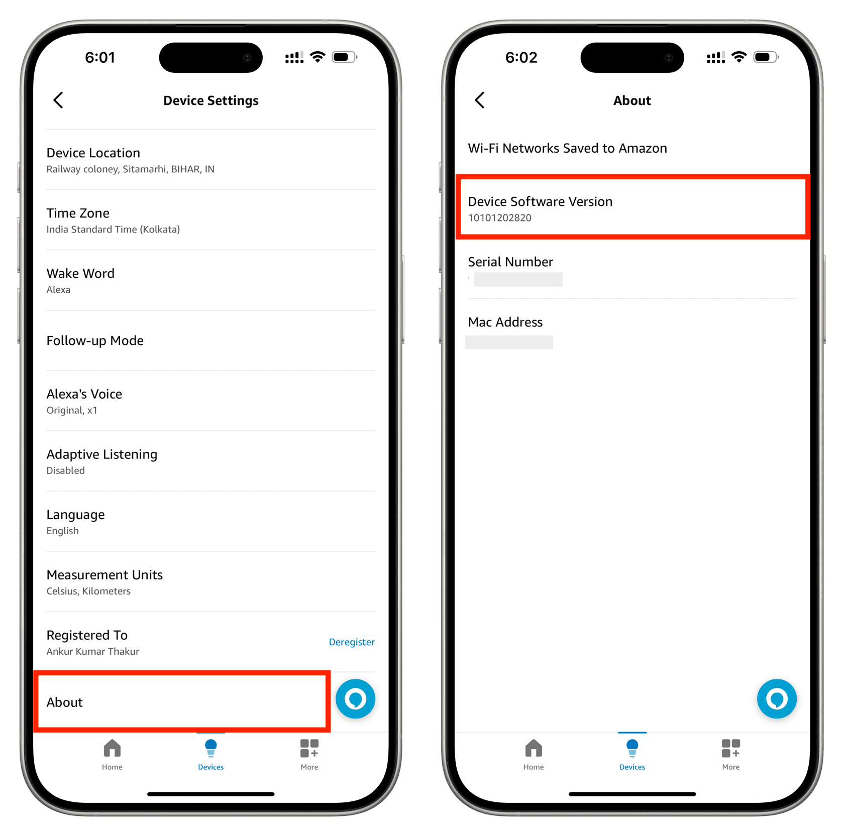 Device Software Version for Amazon Echo Dot in Alexa app on iPhone