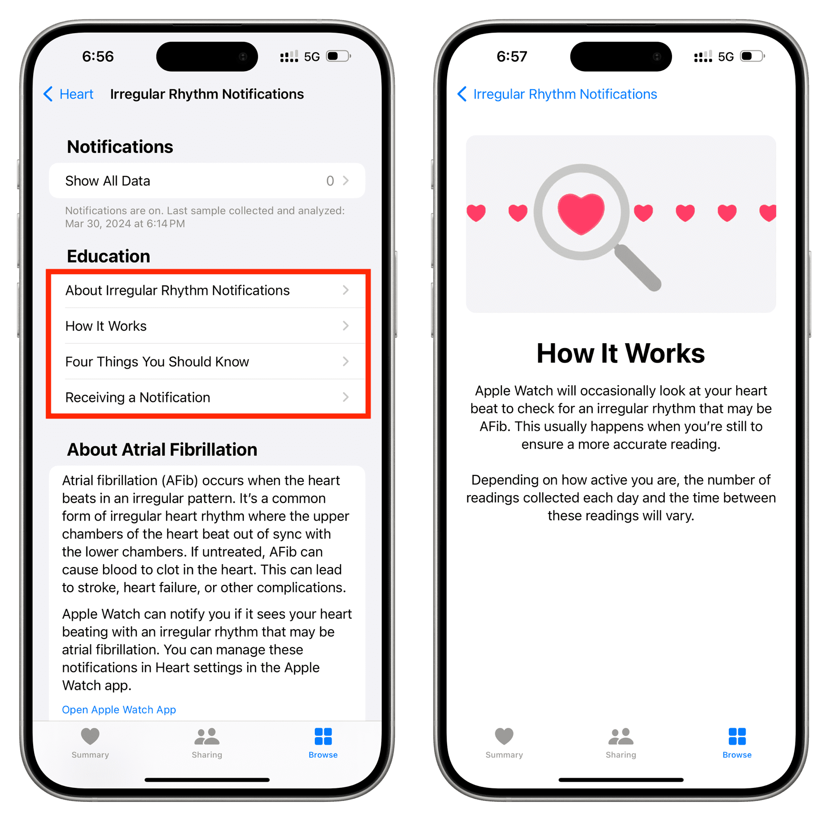 Education section of Irregular Rhythm Notifications in iPhone Health app