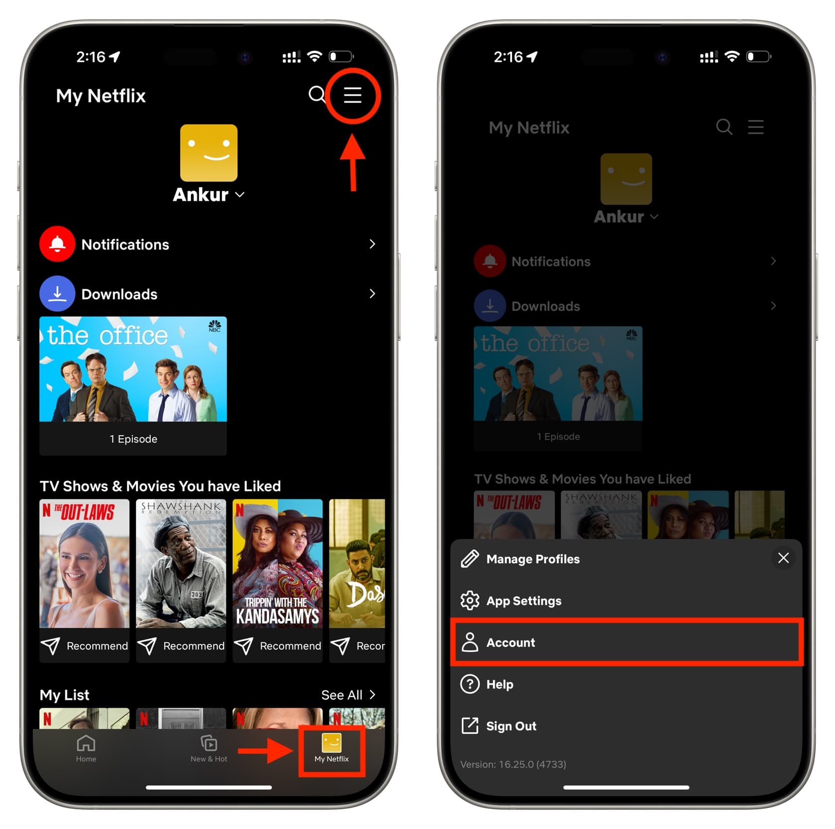 Go to your Netflix Account settings on iPhone