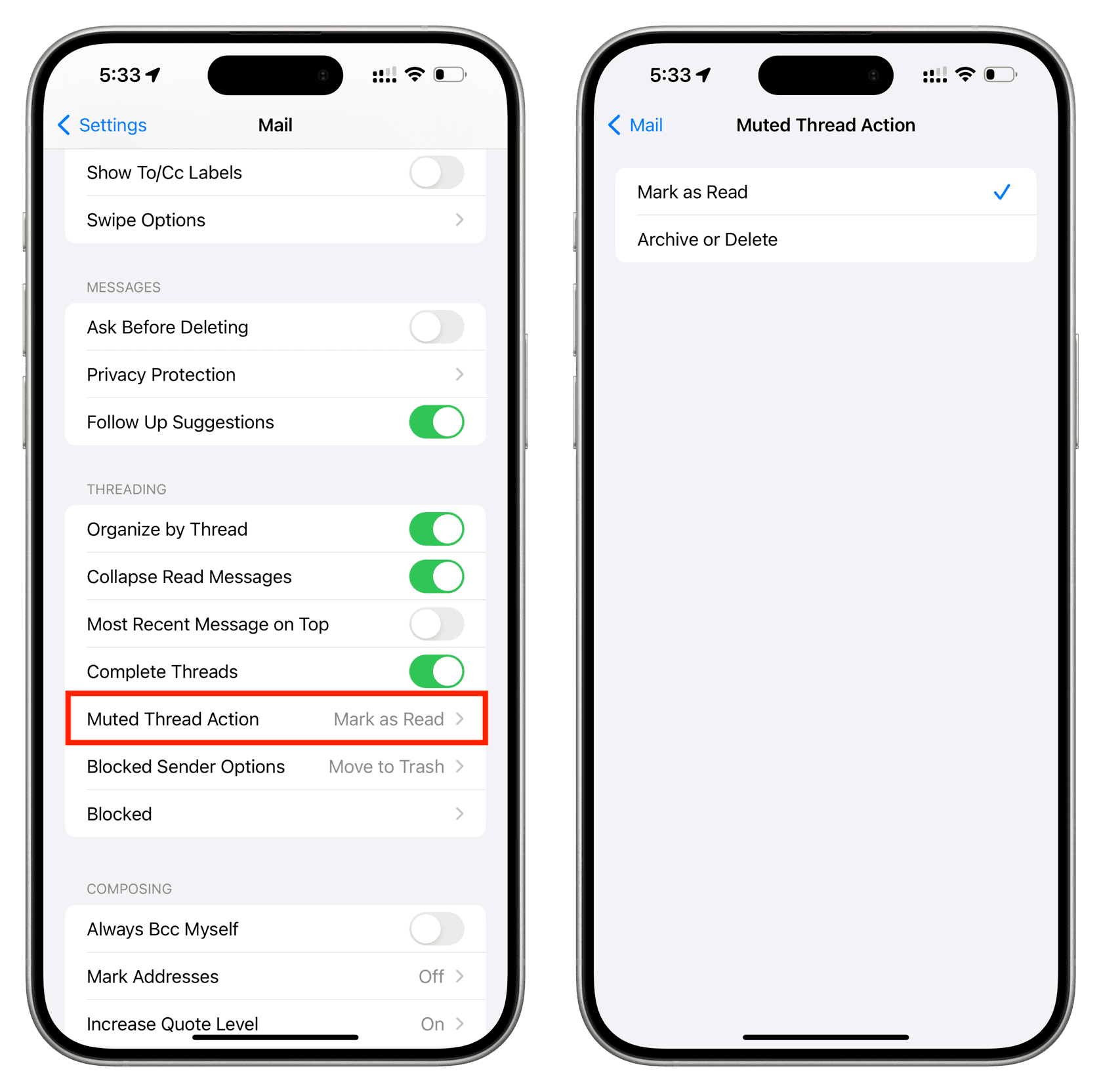 Muted Thread Action settings on iPhone