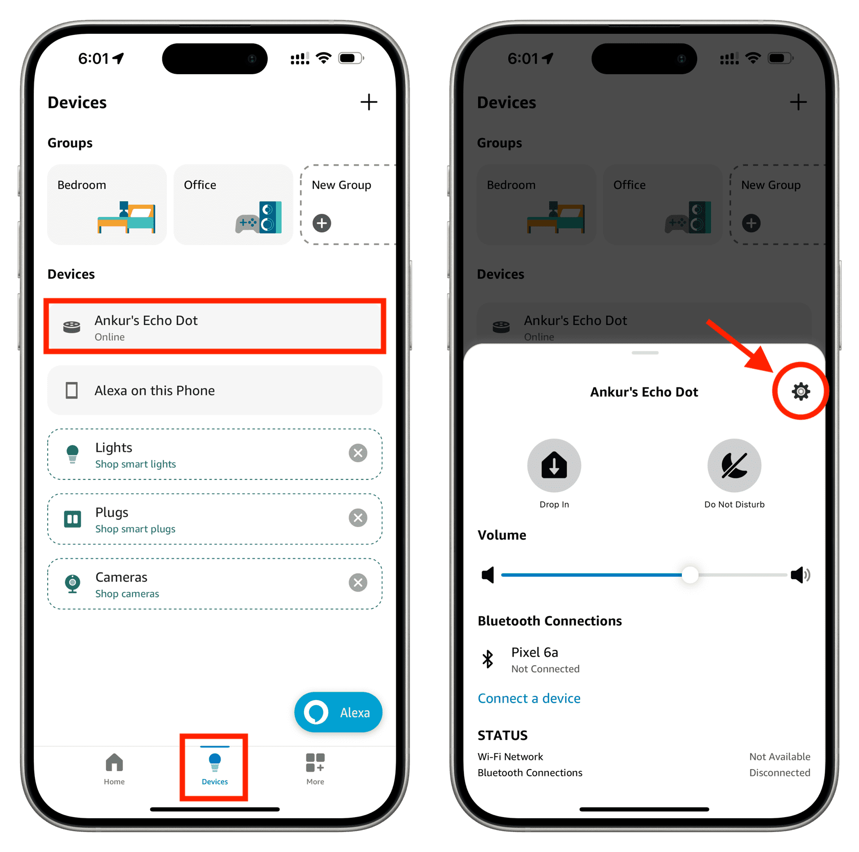 Select Amazon Echo device and tap settings icon