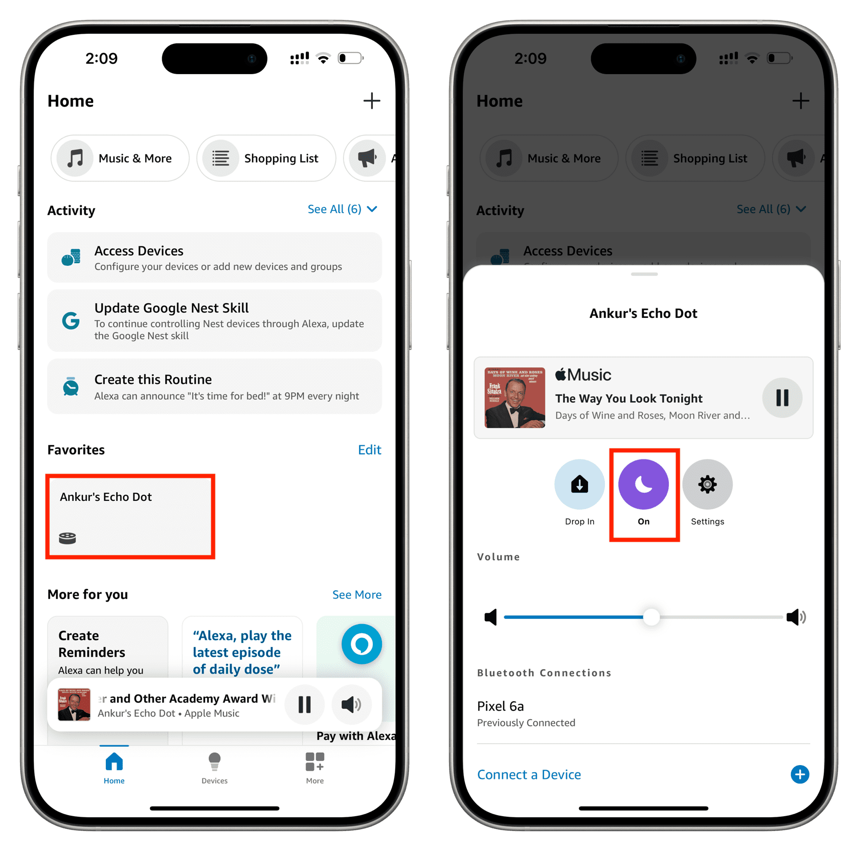 Select Echo in Alexa app on iPhone and enable Do Not Disturb