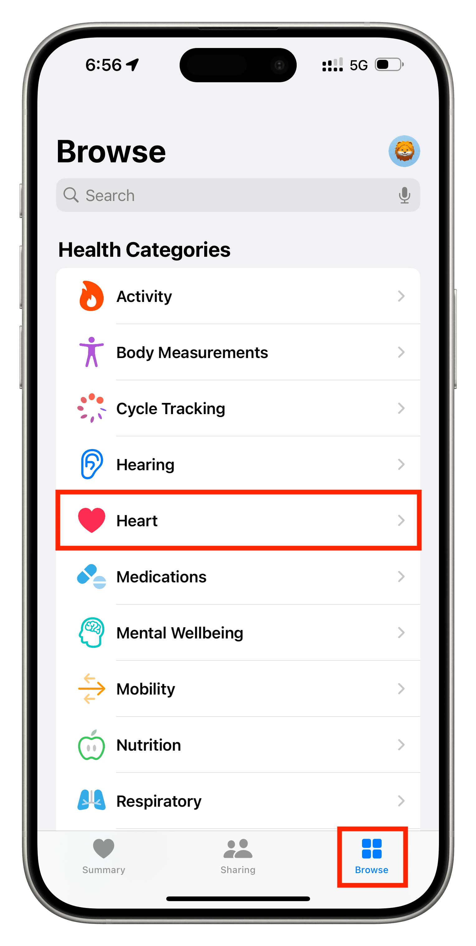 Tap Browse Heart in iPhone Health app