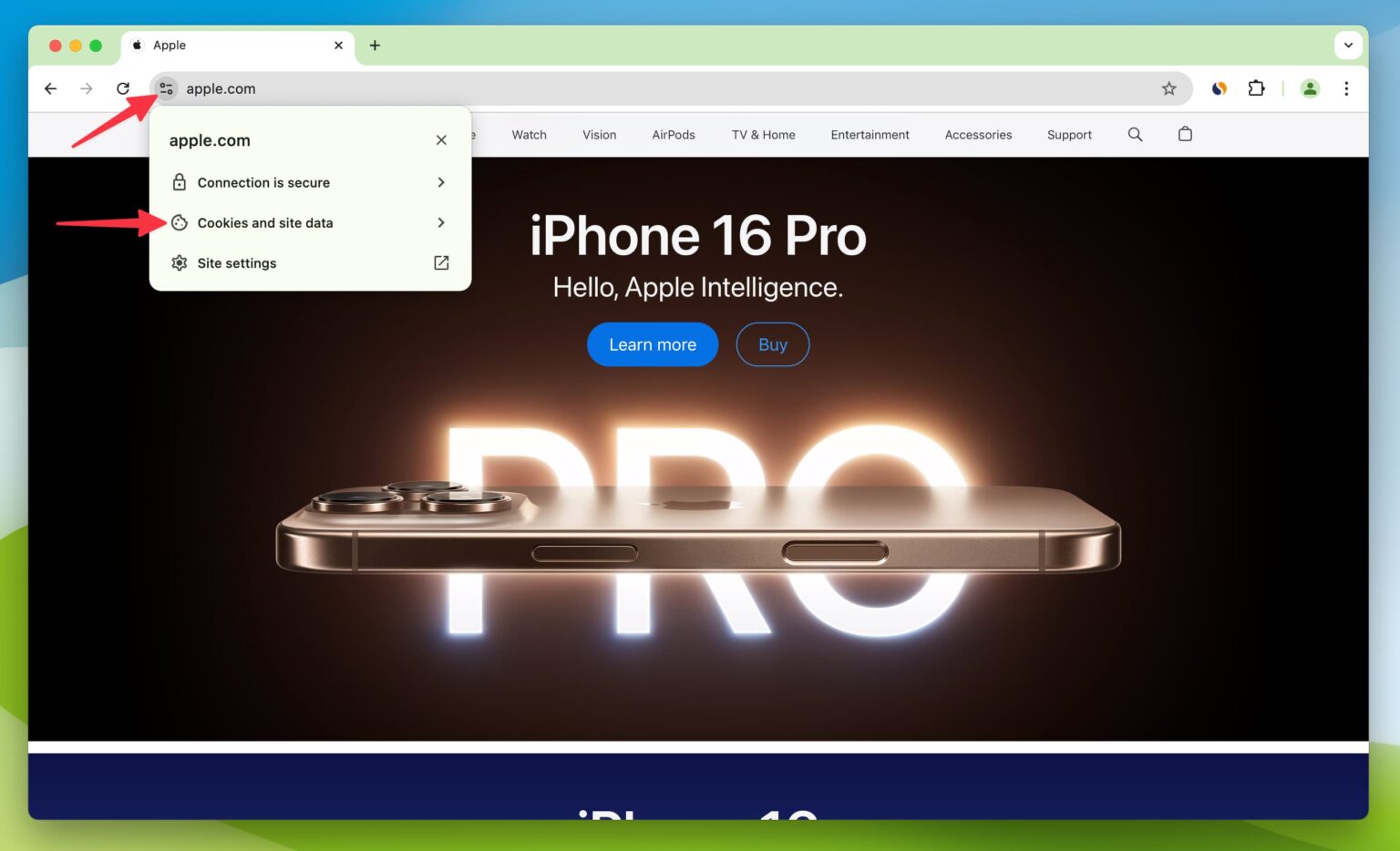 How to clear cookies and date of a specific website on Mac & PC