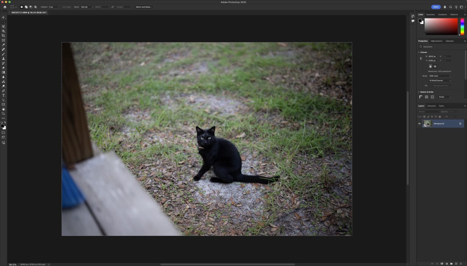 How and when to use the different selection tools in Adobe Photoshop